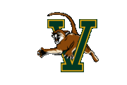 A leaping cat over a large, green letter 'V' with yellow trim, set against a white background.