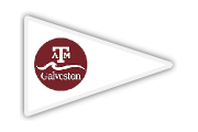 A white triangular pennant with a maroon circle featuring the Texas A&M Galveston logo, including the “A&M” letters and the word “Galveston” with a wave design.